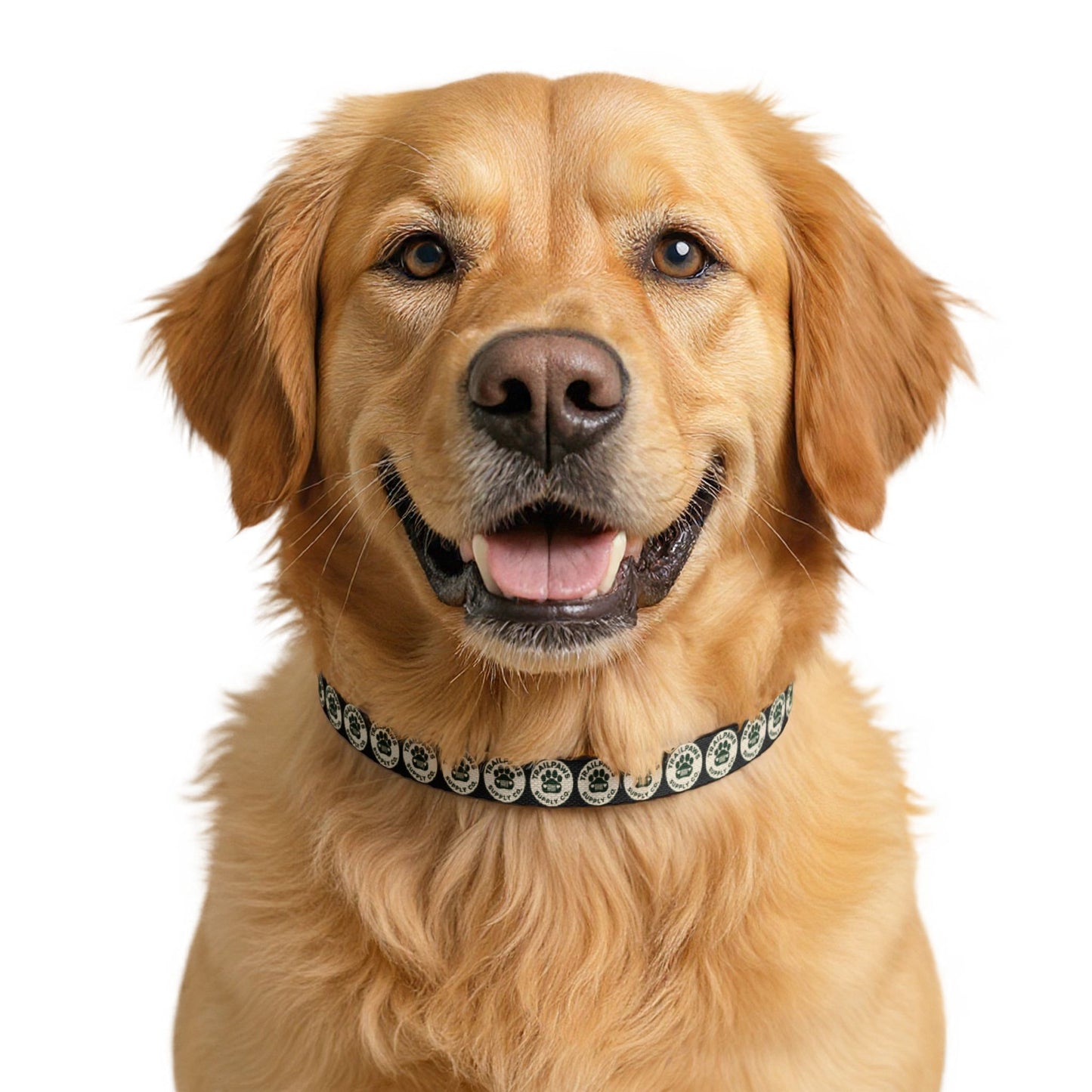 Trail Paws Dog Collar – Durable, Everyday Adventure Wear