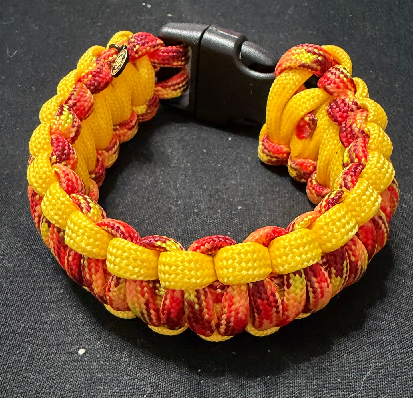 Trail Paws Adventure Band – Sunset Trail Edition