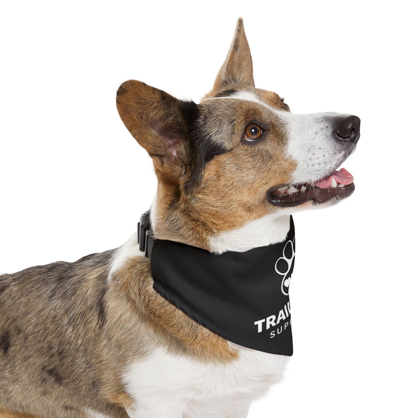 Trail Paws Pet Bandana Collar — Outdoor Dog Bandana with Paw & Jeep Logo