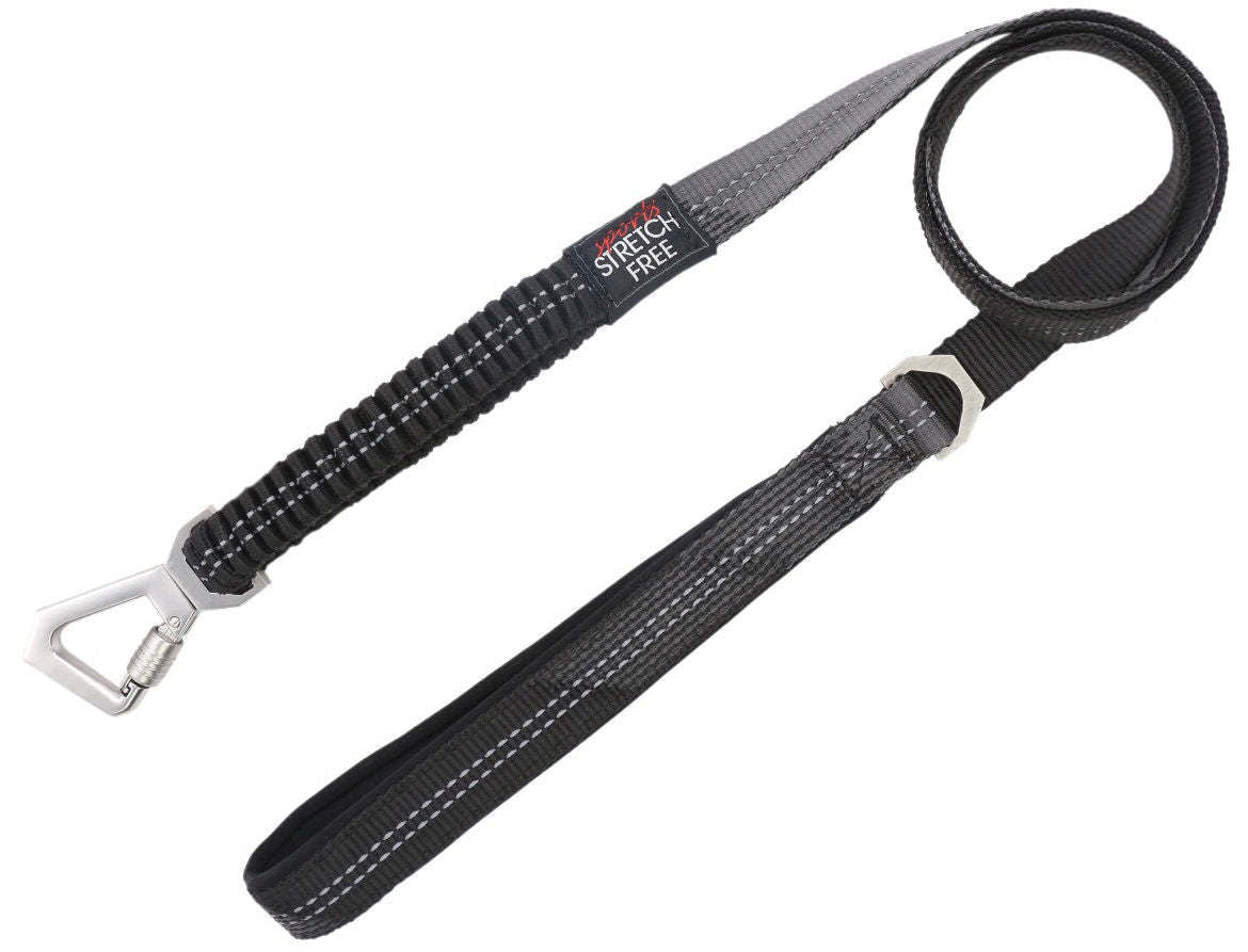 Pet Life 'Geo-prene' 2-in-1 Shock Absorbing Neoprene Padded Reflective Dog Leash and Harness