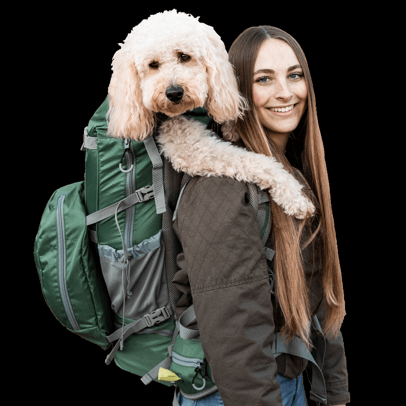 Pet Travel Essentials