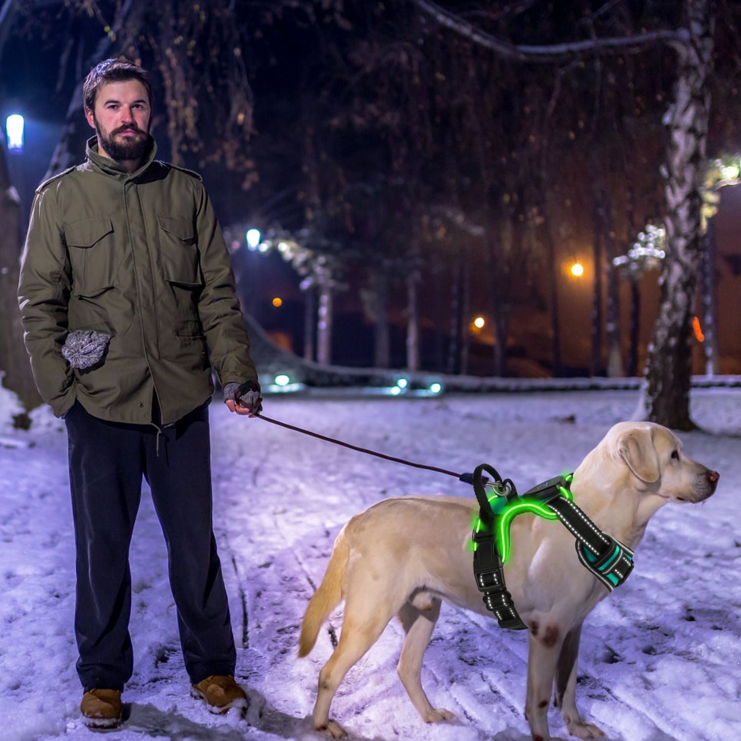 Leash and Harnesses Collection