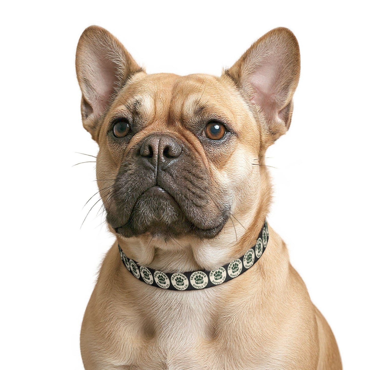 Trail Paws Dog Collar – Durable, Everyday Adventure Wear