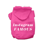 IG Famous Hoodie