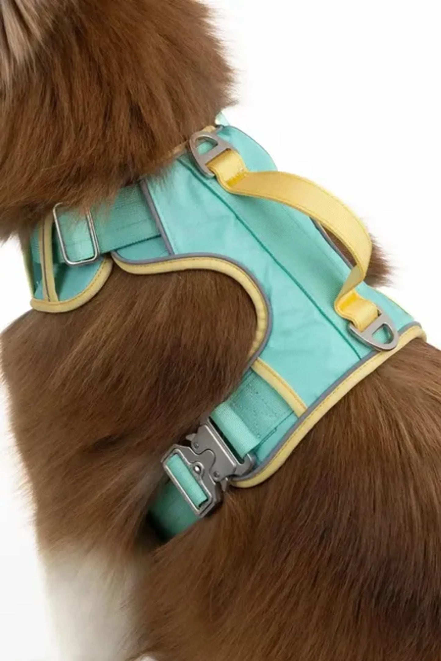 Trail Paws Island Vibes Ultimate Dog Harness – Reflective No-Pull Adventure Harness with Handle & Cobra Buckles