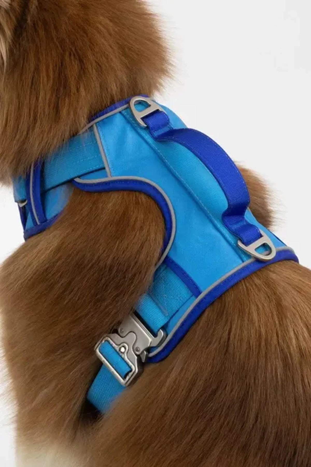Trail Paws Dockside Adventures Ultimate Dog Harness – Reflective Heavy-Duty No-Pull Harness with Handle & Cobra Buckles