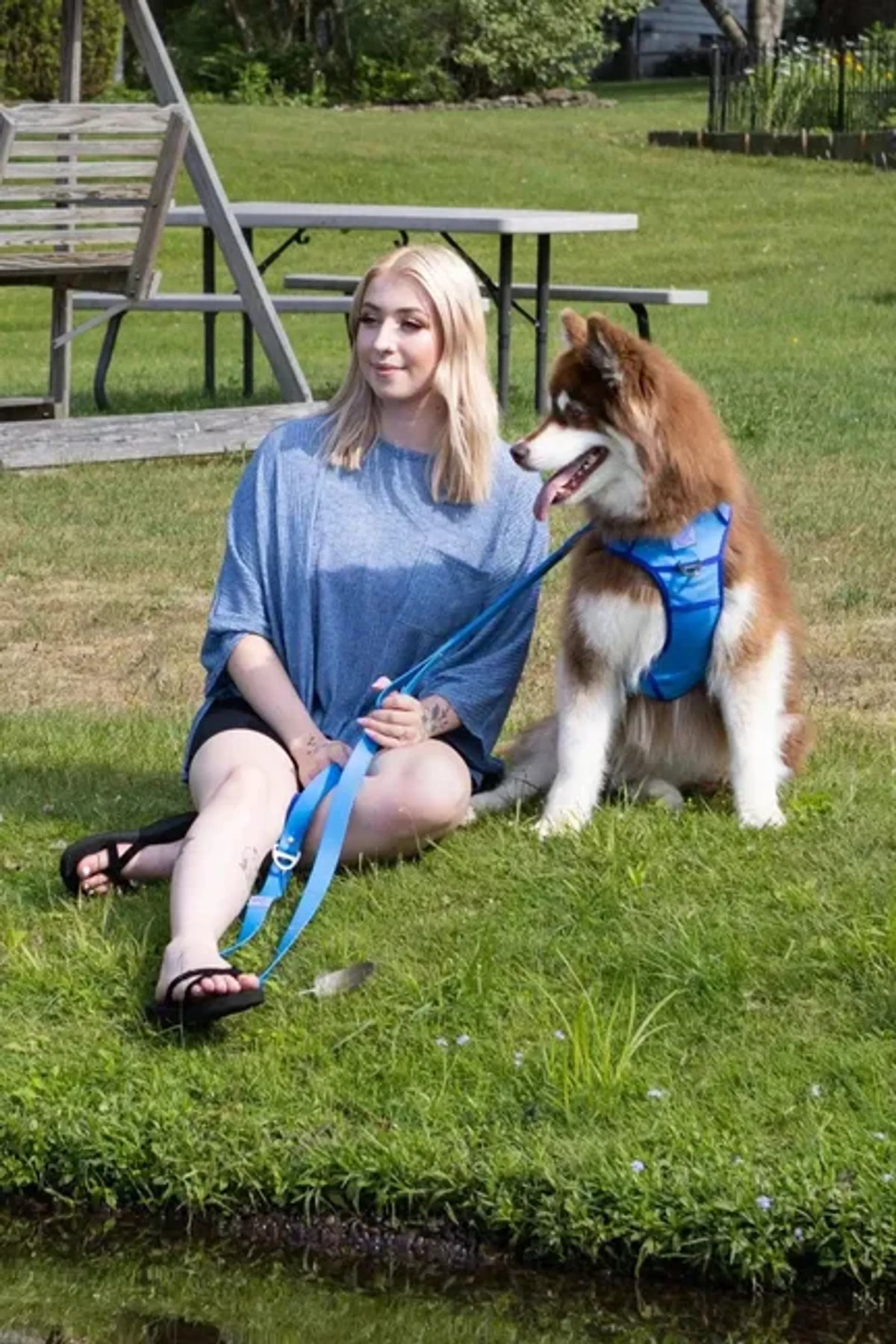 Trail Paws Dockside Adventures Ultimate Dog Harness – Reflective Heavy-Duty No-Pull Harness with Handle & Cobra Buckles