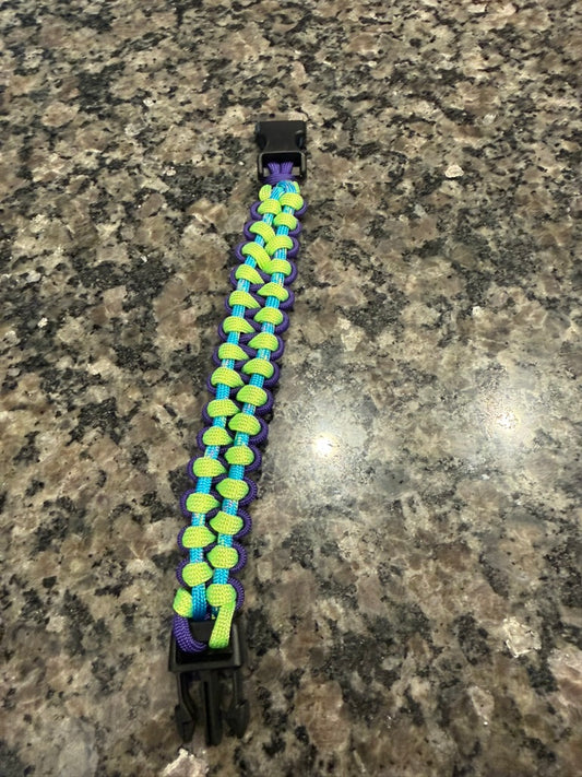 Trail Paws Adventure Band – Electric Trail Edition