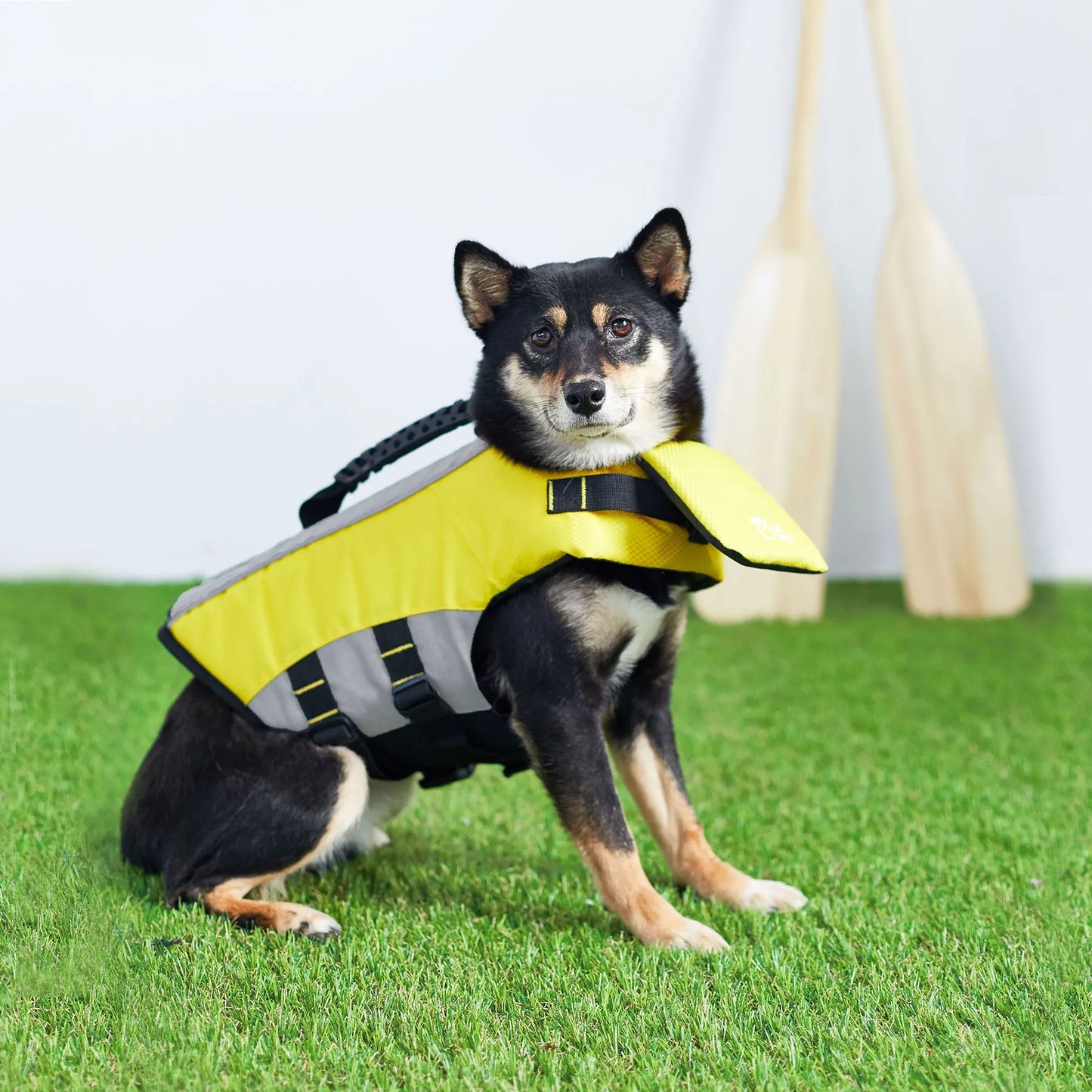 Trail Paws High-Buoyancy Dog Life Vest – Reflective Adjustable Pet Flotation Jacket for Boating, Beach & Water Adventures