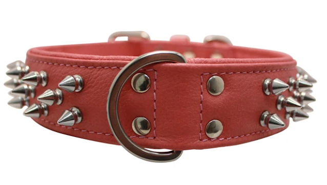 Amsterdam Dog Collar by Angel Multi Line Spiked Collar, 22" X 1.5" , Chocolate Brown