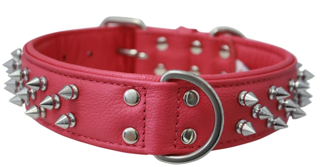 Amsterdam Dog Collar by Angel Multi Line Spiked Collar, 22" X 1.5" , Chocolate Brown