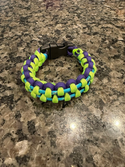 Trail Paws Adventure Band – Electric Trail Edition