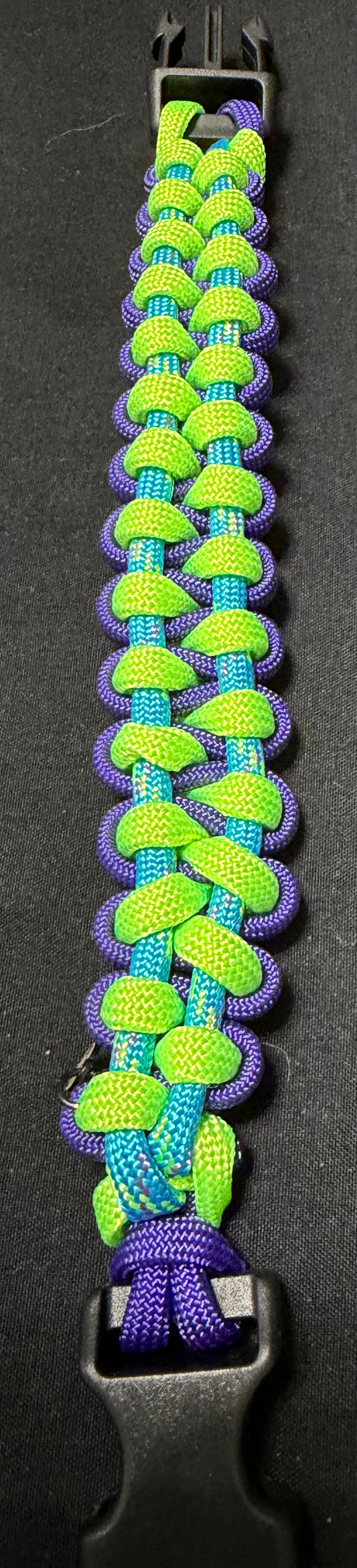 Trail Paws Adventure Band – Electric Trail Edition