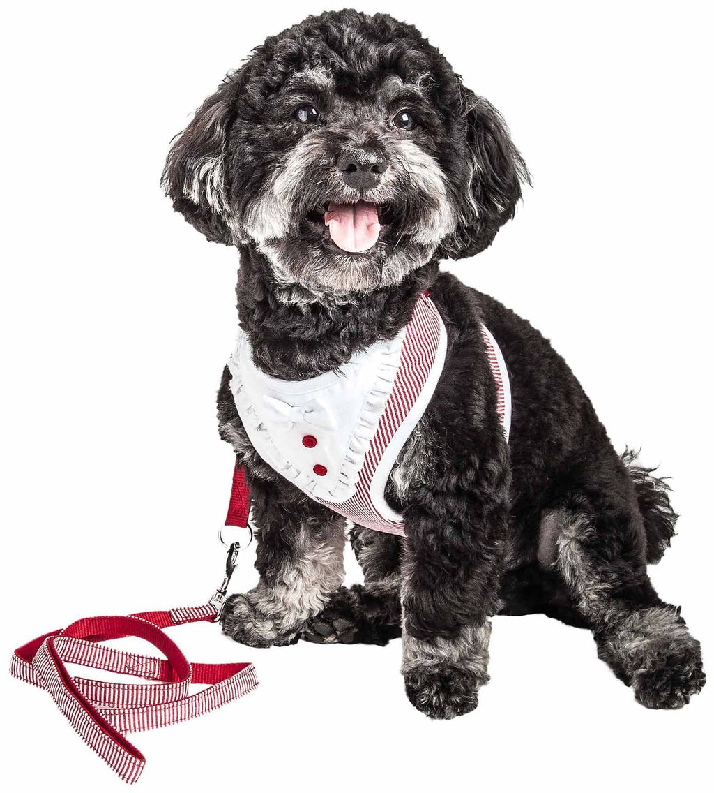 Pet Life Luxe 'Spawling' 2-In-1 Mesh Reversed Adjustable Dog Harness-Leash W/ Fashion Bowtie