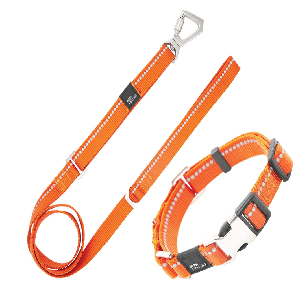 Pet Life 'Advent' Outdoor Series 3M Reflective 2-in-1 Durable Martingale Training Dog Leash and Collar