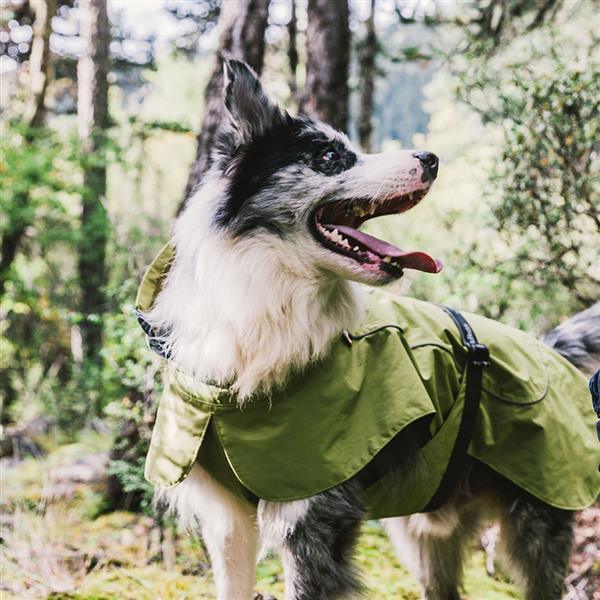 Dog Coats Small Waterproof,Warm Outfit Clothes Dog Jackets Small,Adjustable Drawstring Warm And Cozy Dog Sport Vest-(Green size L)