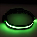 peach heart pet collar s