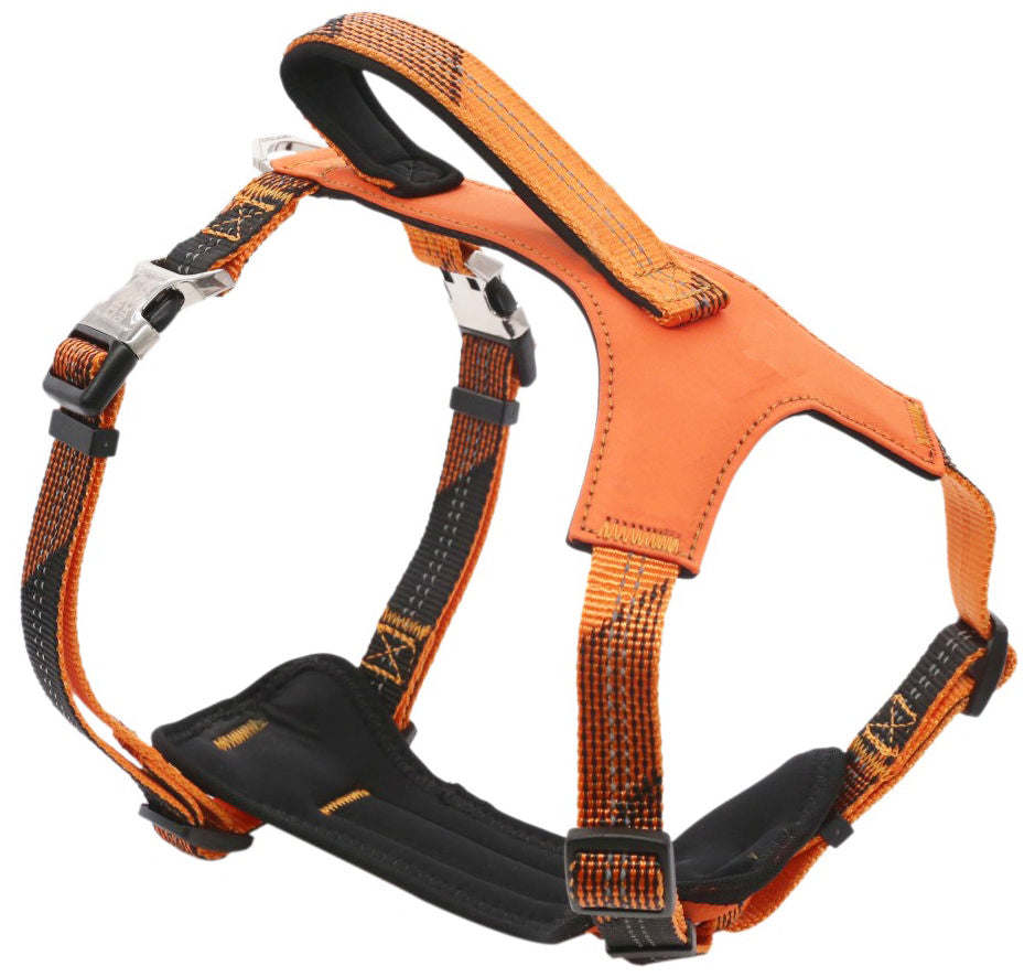 Pet Life 'Geo-prene' 2-in-1 Shock Absorbing Neoprene Padded Reflective Dog Leash and Harness