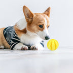 Dog Squeaky Ball Toy; Pet Chew Toy For Dog; Tooth Cleaning Ball Bite Resistant Pet Supplies