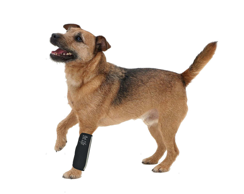 Extreme-Neoprene Joint Protective Reflective Pet Sleeves