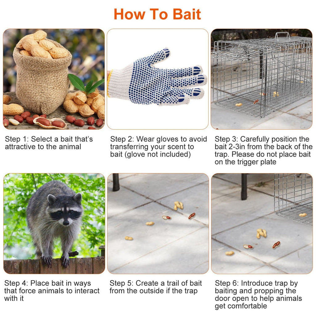 Humane Cat Trap Cage Catch Release Live Animal Rodent Cage Collapsible Galvanized Wire for Raccoons Beavers Groundhogs Foxes Armadillos