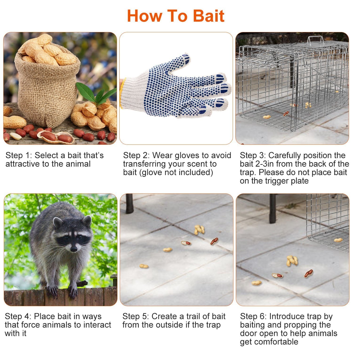 Humane Cat Trap Cage Catch Release Live Animal Rodent Cage Collapsible Galvanized Wire for Raccoons Beavers Groundhogs Foxes Armadillos