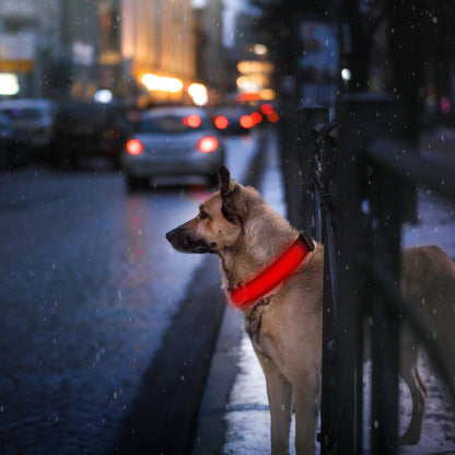 LED Dog Collar USB Rechargeable Adjustable Dog Safety Collar Night Safety Flashing Luminous Light up Collar