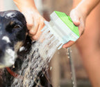 Dog Pet Shower Sprayer Scrubber, 3 Gear in One Pet Bathing & Massaging, Compatible to All Standard Water Tube, New Pets Cleaning Washing Grooming Brush