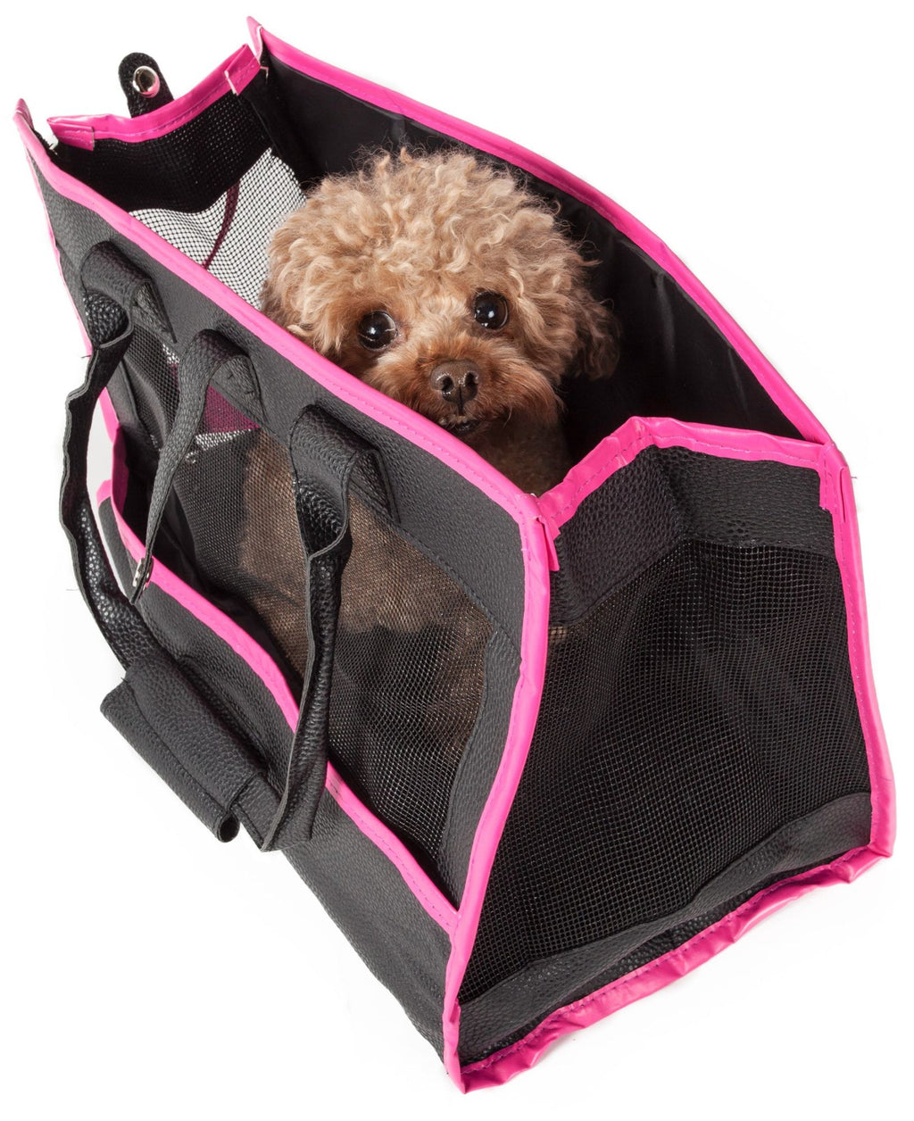 Posh Paw' Pet Carrier