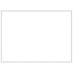 Dog Kennel Silver 129.2 ft² Steel