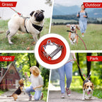 Dog Tie Out Cable Long Dog Leash Chew Proof Lead Dog Chain with Durable Spring 360° Rotatable Clips PVC Case for Outside Yard Caming