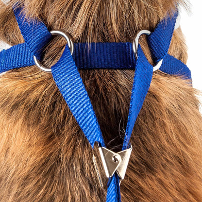 Pet Life Luxe 'Spawling' 2-In-1 Mesh Reversed Adjustable Dog Harness-Leash W/ Fashion Bowtie